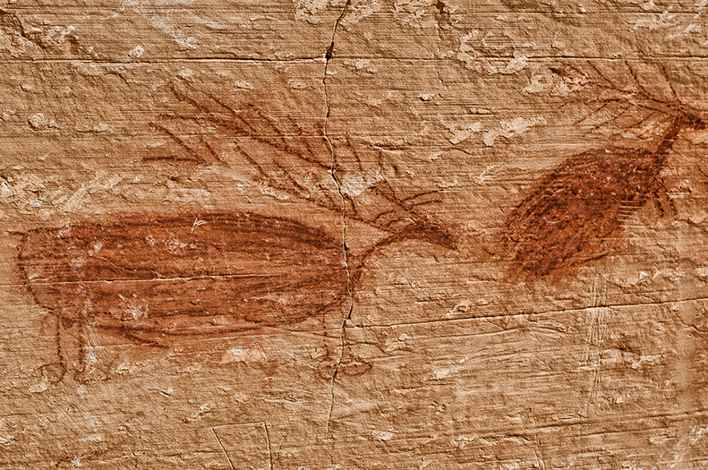 Chumash Petroglyphs