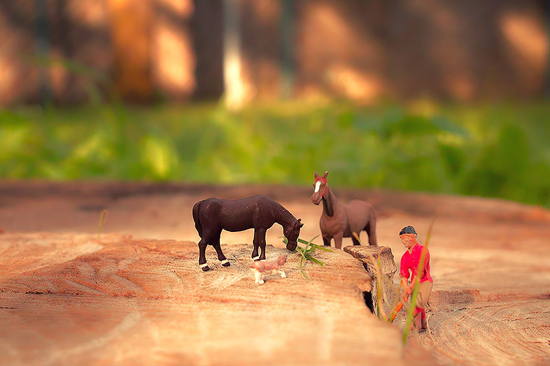 Miniature Painting