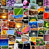 Storytelling with Photos: Design a Historical Family Collage
