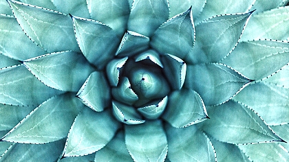 A Guide to Using Art to Improve Your Mental Health: Natural Healing